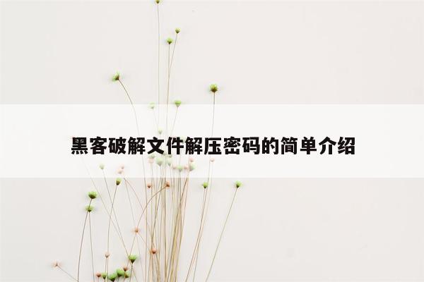 黑客破解文件解压密码的简单介绍