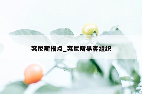 突尼斯报点_突尼斯黑客组织