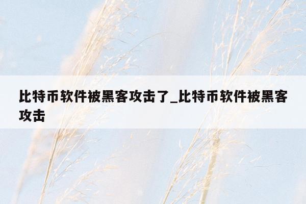 比特币软件被黑客攻击了_比特币软件被黑客攻击
