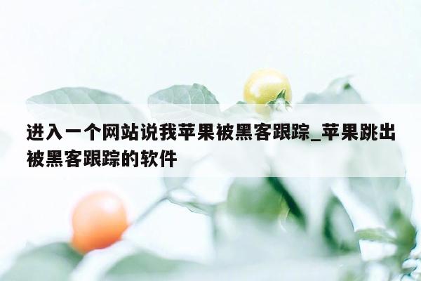 进入一个网站说我苹果被黑客跟踪_苹果跳出被黑客跟踪的软件