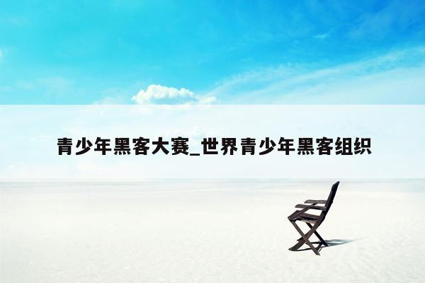 青少年黑客大赛_世界青少年黑客组织
