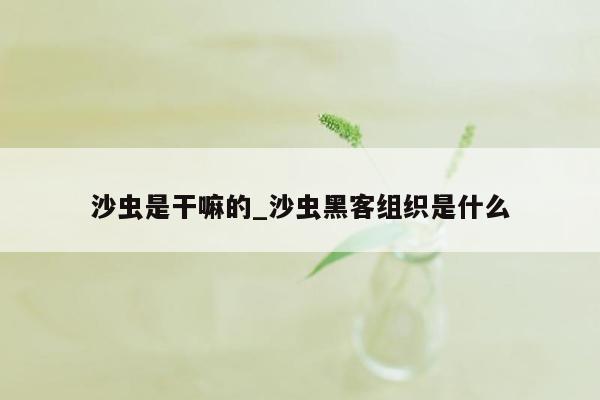 沙虫是干嘛的_沙虫黑客组织是什么