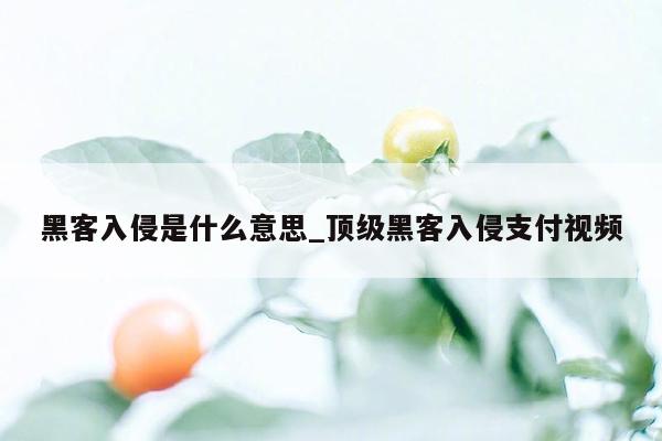 黑客入侵是什么意思_顶级黑客入侵支付视频