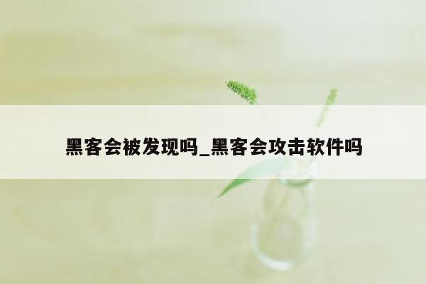 黑客会被发现吗_黑客会攻击软件吗