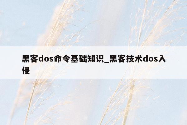 黑客dos命令基础知识_黑客技术dos入侵