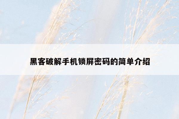 黑客破解手机锁屏密码的简单介绍