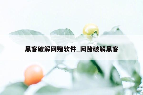 黑客破解网赌软件_网赌破解黑客