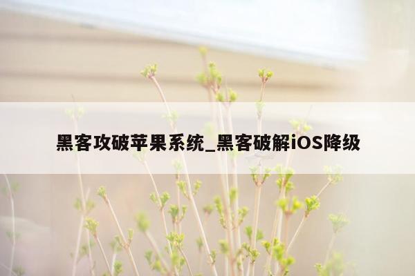 黑客攻破苹果系统_黑客破解iOS降级