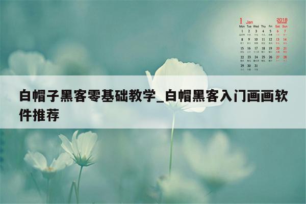 白帽子黑客零基础教学_白帽黑客入门画画软件推荐