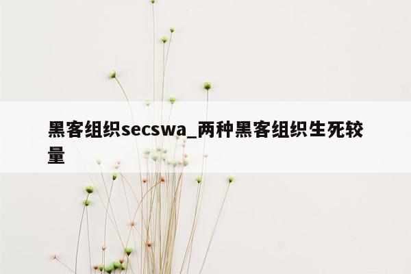 黑客组织secswa_两种黑客组织生死较量