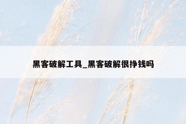 黑客破解工具_黑客破解很挣钱吗