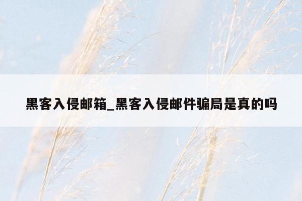 黑客入侵邮箱_黑客入侵邮件骗局是真的吗