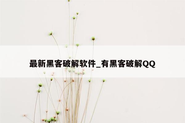 最新黑客破解软件_有黑客破解QQ