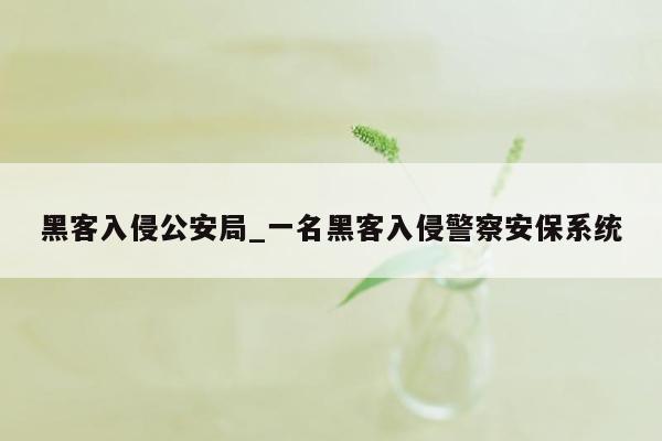 黑客入侵公安局_一名黑客入侵警察安保系统
