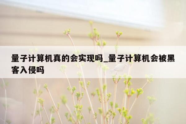 量子计算机真的会实现吗_量子计算机会被黑客入侵吗