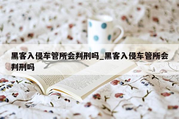 黑客入侵车管所会判刑吗_黑客入侵车管所会判刑吗
