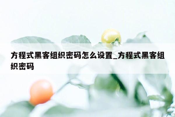 方程式黑客组织密码怎么设置_方程式黑客组织密码