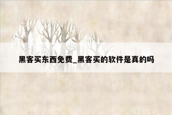 黑客买东西免费_黑客买的软件是真的吗