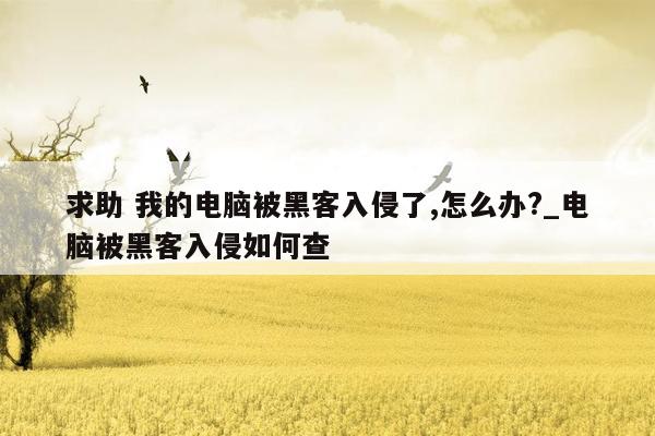 求助 我的电脑被黑客入侵了,怎么办?_电脑被黑客入侵如何查