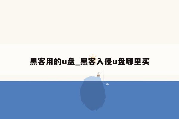 黑客用的u盘_黑客入侵u盘哪里买