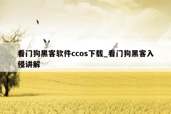 看门狗黑客软件ccos下载_看门狗黑客入侵讲解