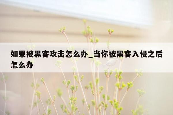 如果被黑客攻击怎么办_当你被黑客入侵之后怎么办