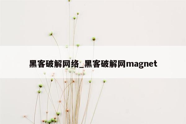 黑客破解网络_黑客破解网magnet