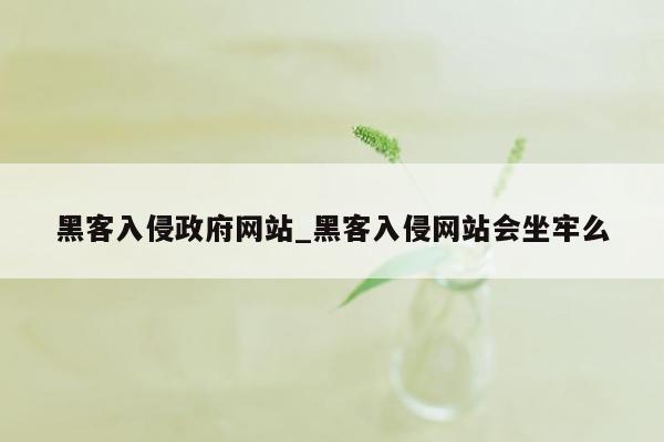 黑客入侵政府网站_黑客入侵网站会坐牢么