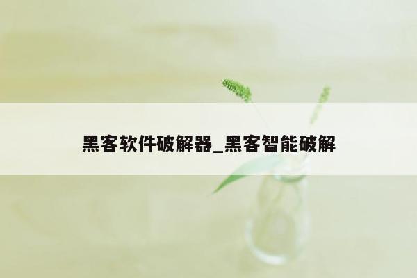 黑客软件破解器_黑客智能破解