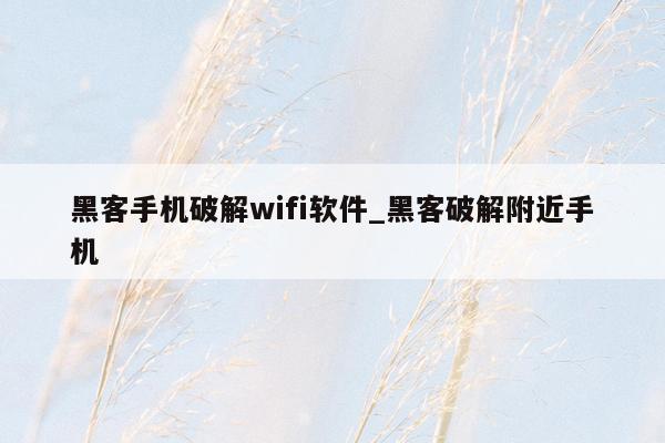黑客手机破解wifi软件_黑客破解附近手机