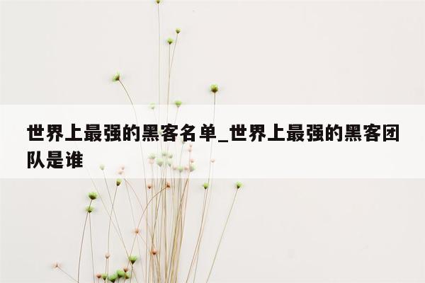 世界上最强的黑客名单_世界上最强的黑客团队是谁