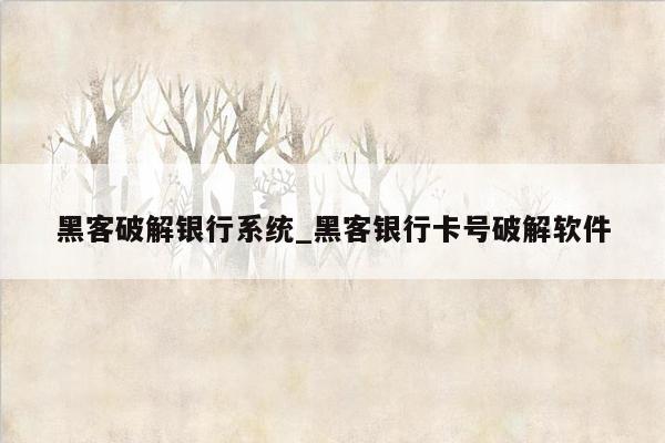 黑客破解银行系统_黑客银行卡号破解软件