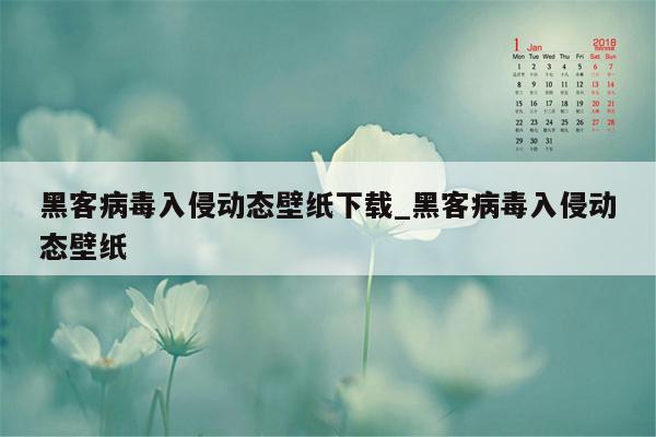 黑客病毒入侵动态壁纸下载_黑客病毒入侵动态壁纸