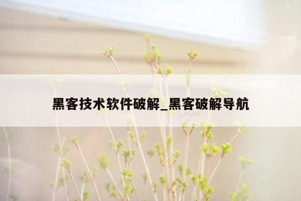 黑客技术软件破解_黑客破解导航