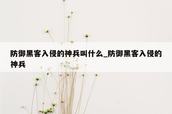 防御黑客入侵的神兵叫什么_防御黑客入侵的神兵