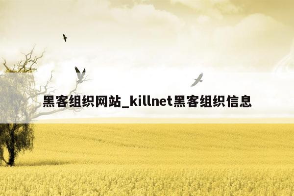 黑客组织网站_killnet黑客组织信息