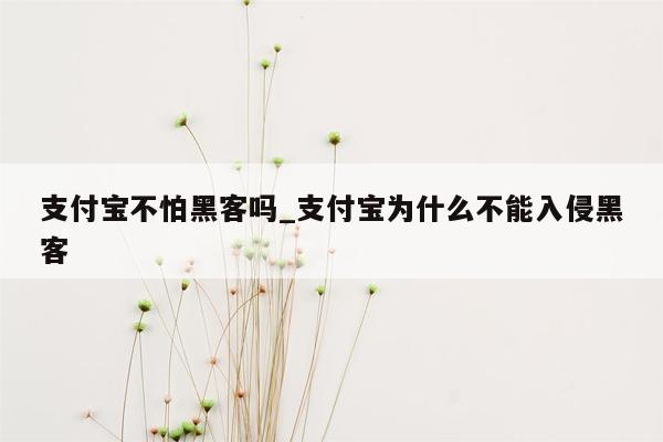 支付宝不怕黑客吗_支付宝为什么不能入侵黑客