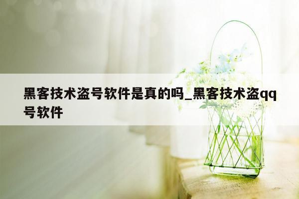 黑客技术盗号软件是真的吗_黑客技术盗qq号软件
