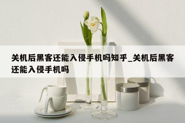 关机后黑客还能入侵手机吗知乎_关机后黑客还能入侵手机吗