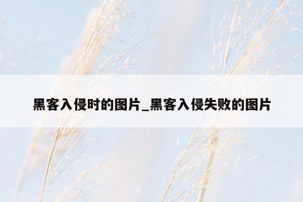 黑客入侵时的图片_黑客入侵失败的图片