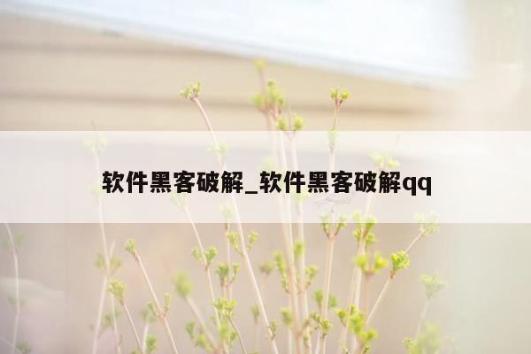 软件黑客破解_软件黑客破解qq