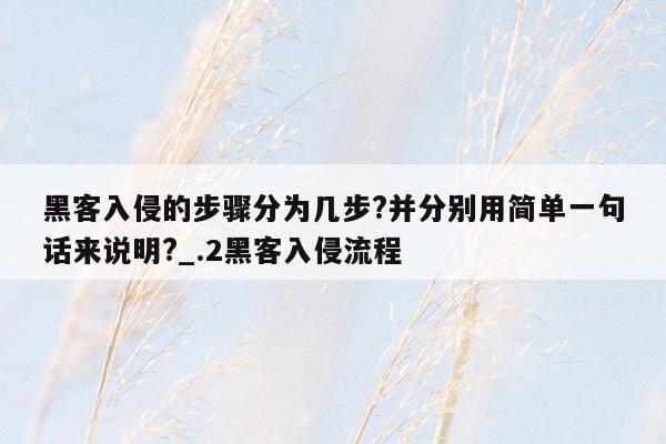 黑客入侵的步骤分为几步?并分别用简单一句话来说明?_.2黑客入侵流程