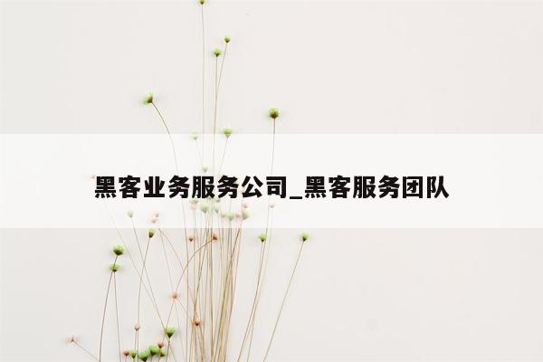 黑客业务服务公司_黑客服务团队