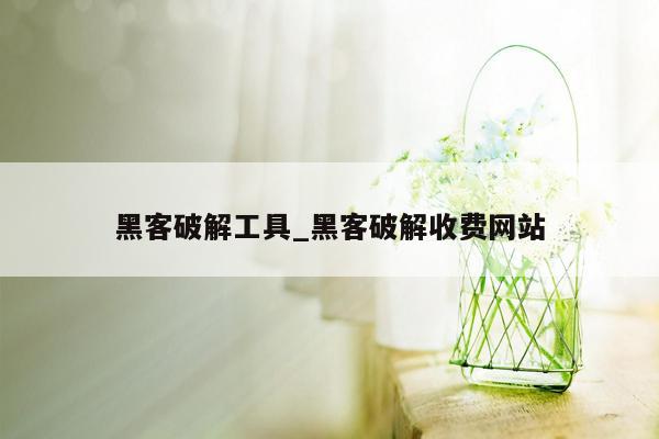 黑客破解工具_黑客破解收费网站