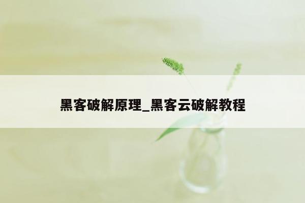 黑客破解原理_黑客云破解教程