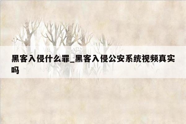 黑客入侵什么罪_黑客入侵公安系统视频真实吗