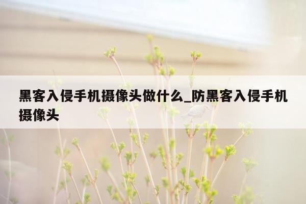 黑客入侵手机摄像头做什么_防黑客入侵手机摄像头