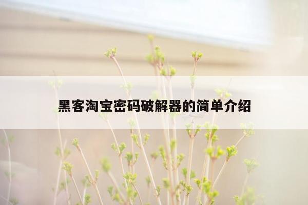 黑客淘宝密码破解器的简单介绍