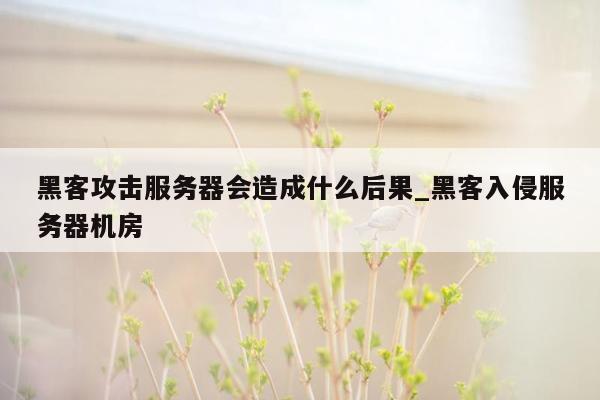 黑客攻击服务器会造成什么后果_黑客入侵服务器机房