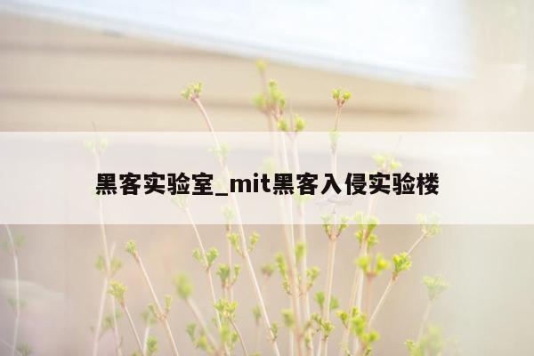 黑客实验室_mit黑客入侵实验楼